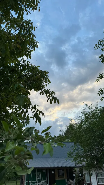 Агроусадьба Лесная Тишина в Беловежской пуще