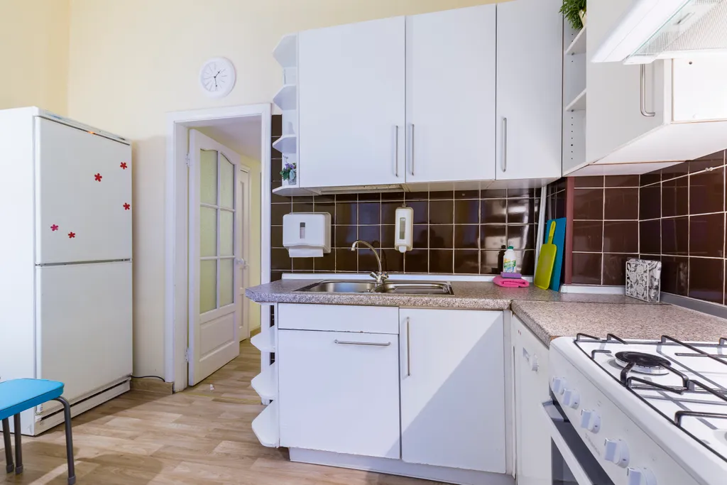 Ryss' 3BR Apt on Nevsky