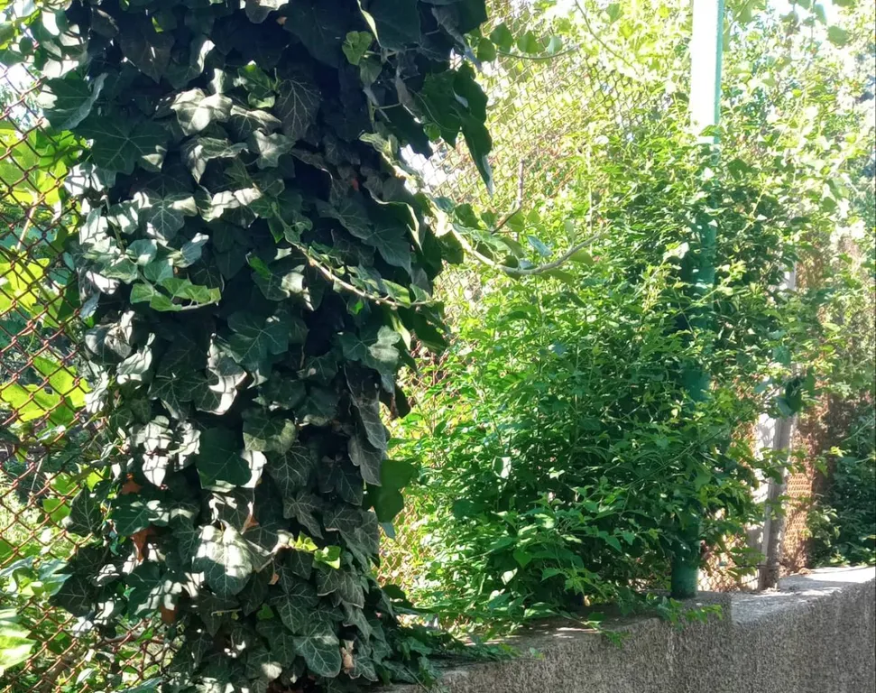 Уютный дом для семейного отдыха под ключ