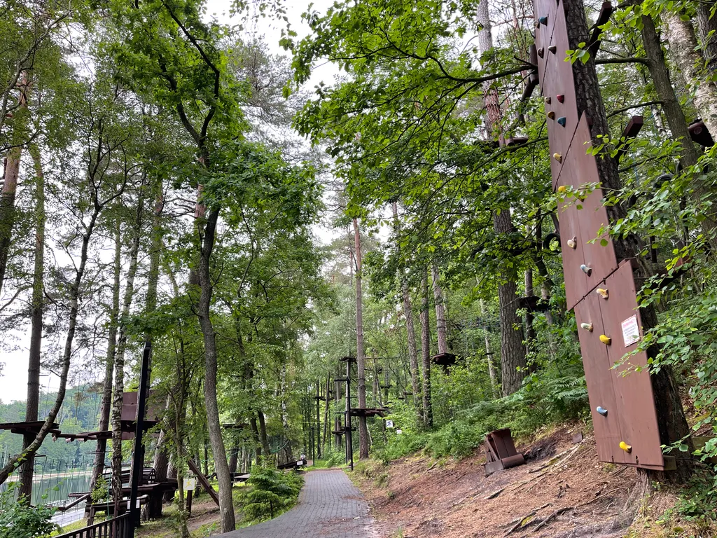 Уютная квартира с видом на озеро и сосновый лес