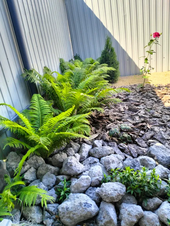 Домик у леса