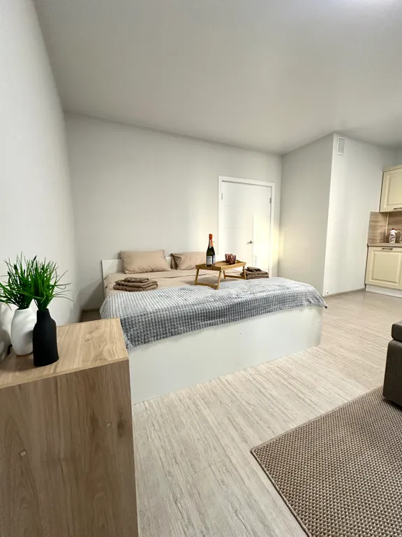 Студия с кроватью и дизайнерким ремонтом