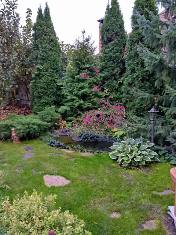 Деревянный домик с русской банькой в Большой Царевщине