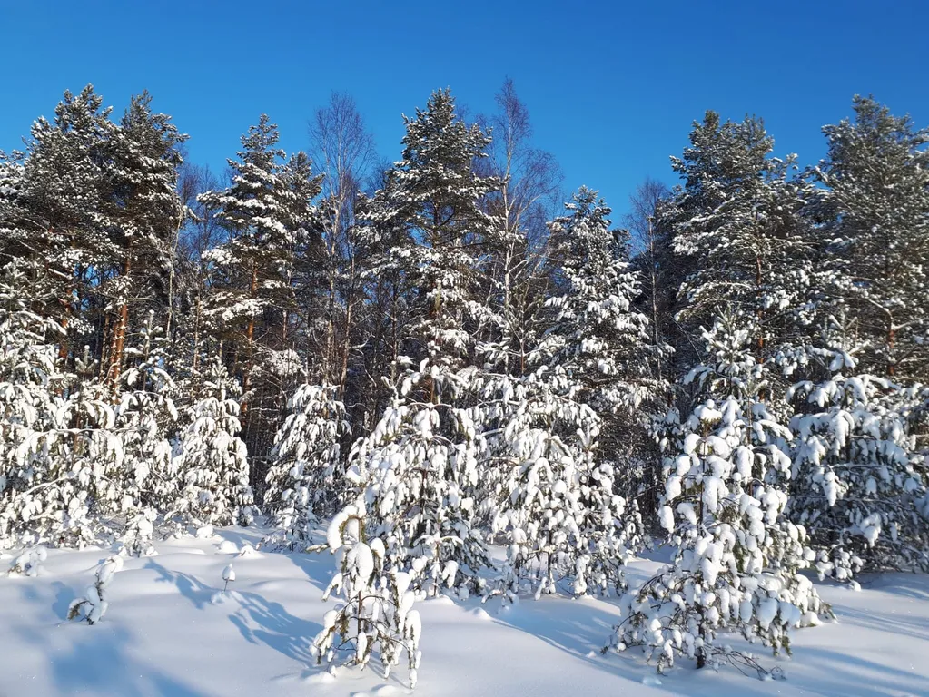 Дом-коттедж у Ладожского озера