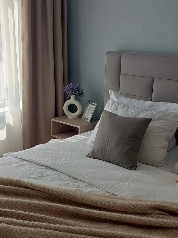 1 комнатные апартаменты в центре города