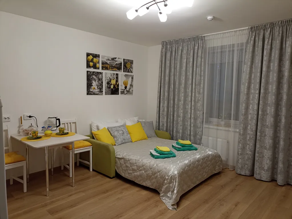 Квартира Квартира Уютная студия у НИИ имени Петрова с бесконтактным заселением — Песочный