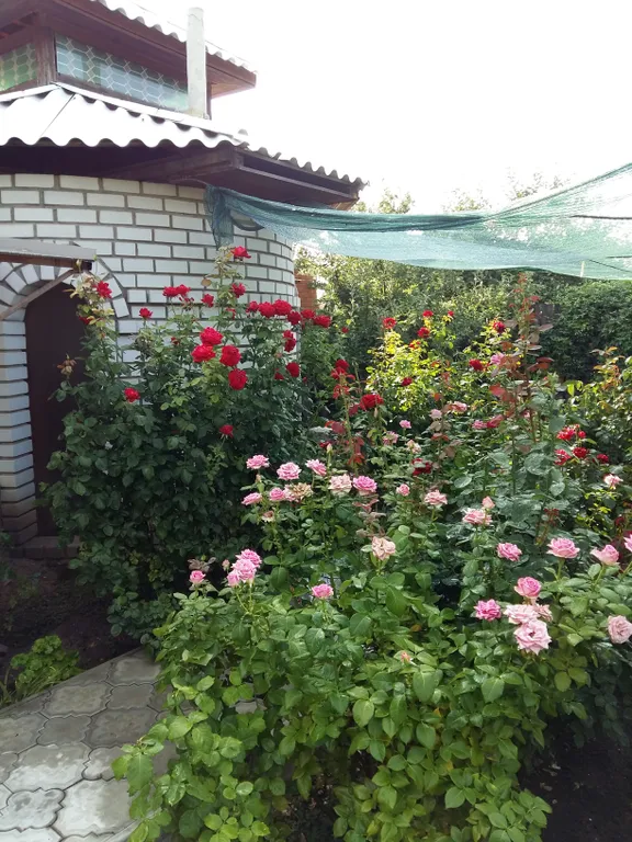 Коттедж Коттедж в экологической зоне — Волгоград