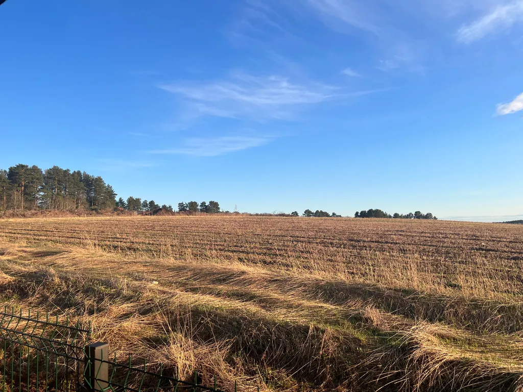 Коттедж Романтичные закаты с видом на пшеничное поле — Запорожское