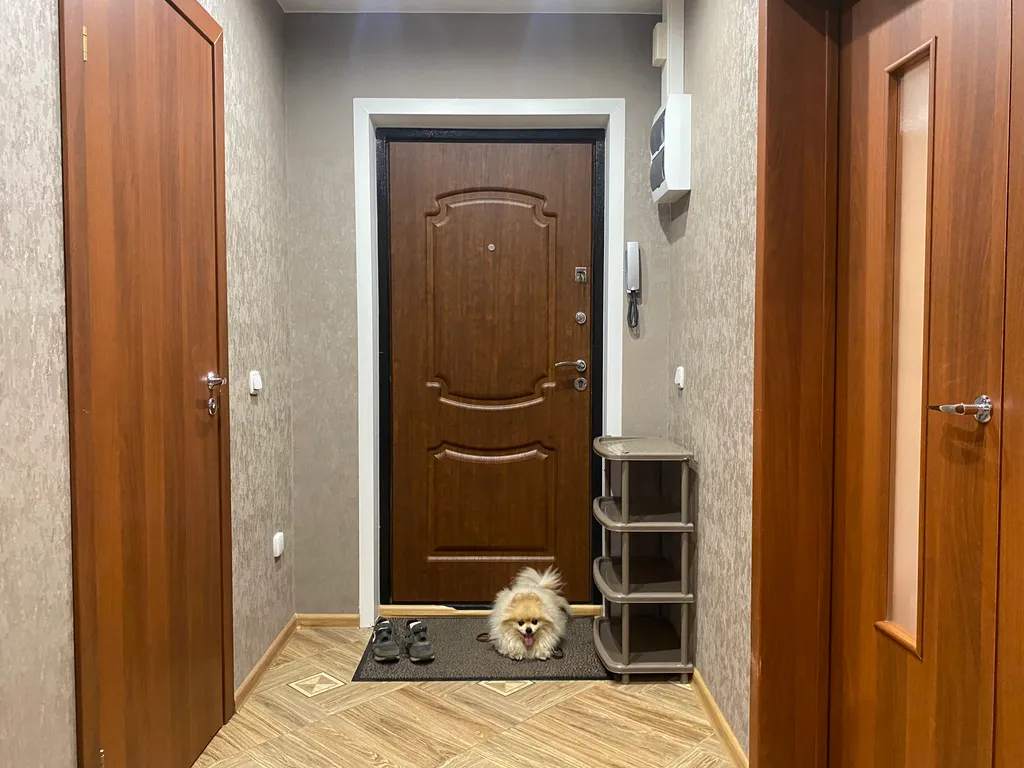 Уютная, светлая квартира в самом центре города