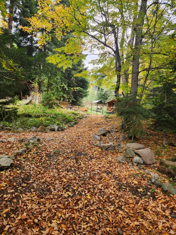 Коттедж Коттедж Уютное шале в окружении леса — Архыз