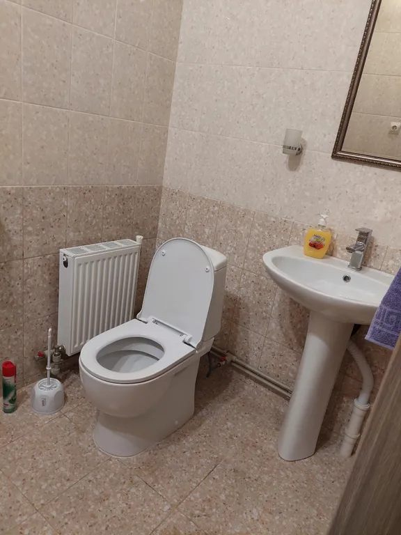 Дом благоустроенный