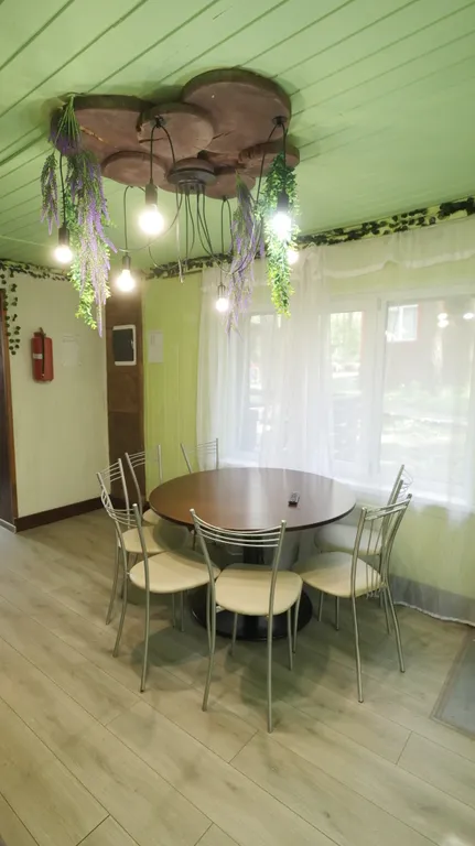 Коттедж в сосновом лесу