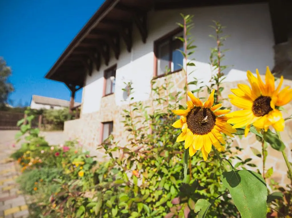 Шале под Минском