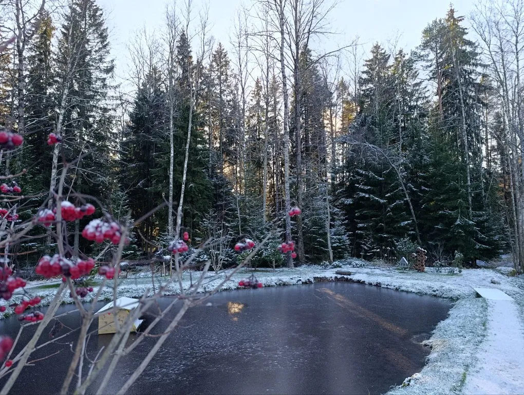 Дом с сауной у озера