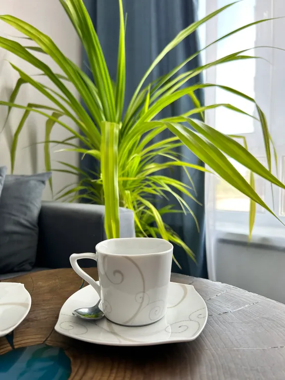 Квартира Квартира Современная и стильная однушка в новом жилищном комплексе — Великий Новгород