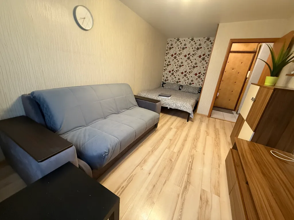 Уютная однокомнатная квартира