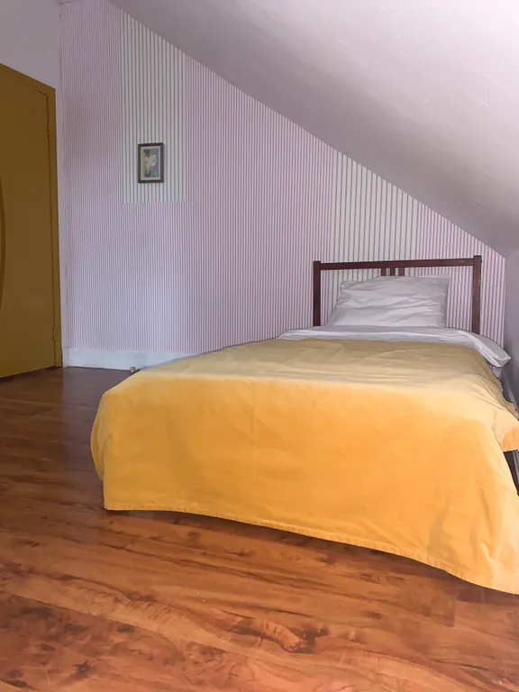 Дом в соснах