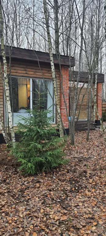 Коттедж Дом (С) с сауной и видом на лес — Воскресенское