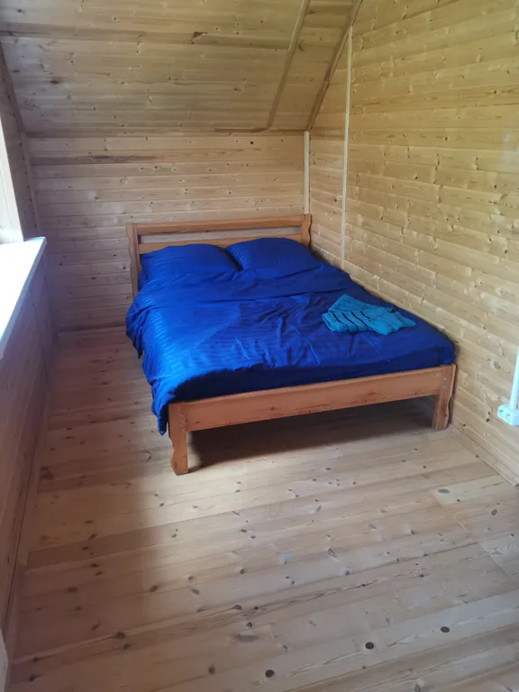 Dream Forest & River PZ