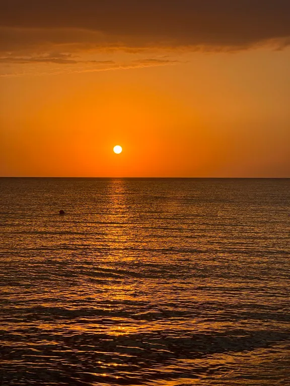 Модуль дача-5