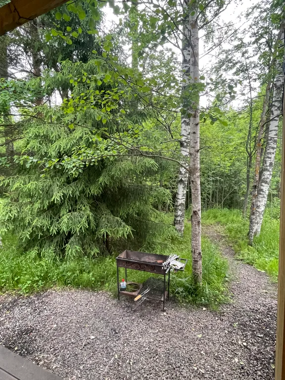 Уютный дом с купелью и камином Лесное Вдохновение