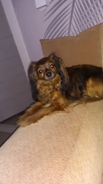 Уютная комната в 3-комнатной квартире в центре города