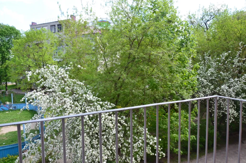 Квартира в центре города