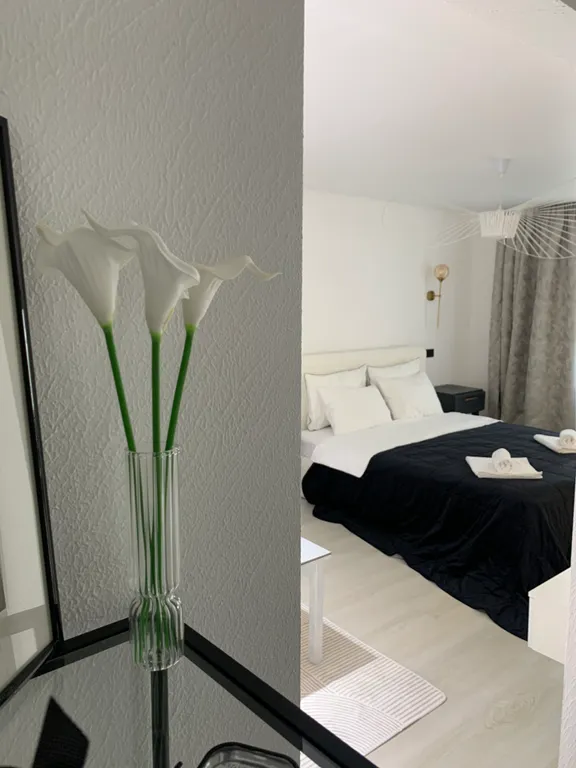 Современная Квартира с новым Дизайнерским ремонтом