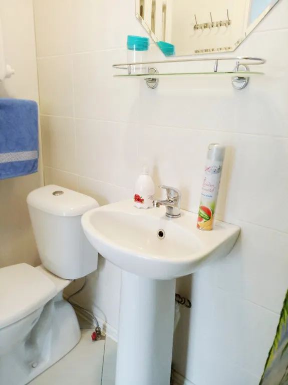 Квартира после ремонта в центре