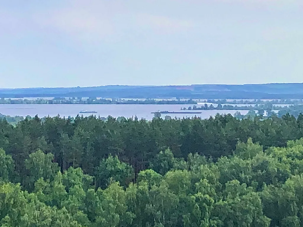 Студия с видом на лес и Волгу в современном ЖК