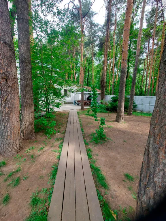 Загородный дом для праздника