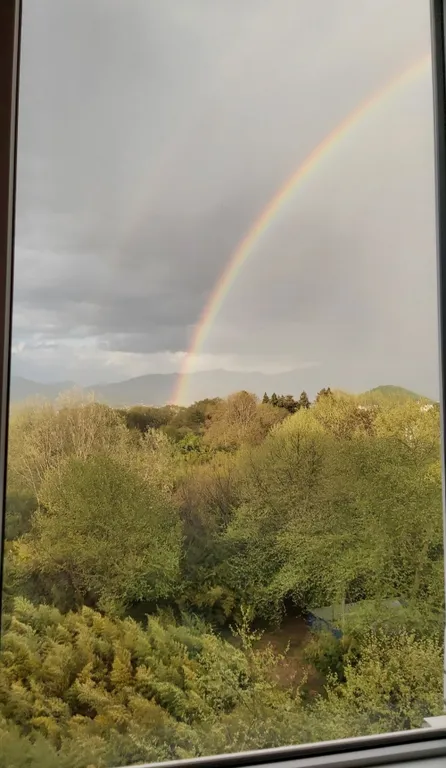 Квартира Квартира Студия у моря с видом на горы и парк — Сириус