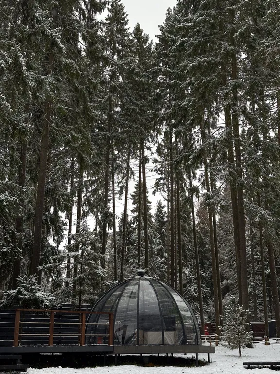 Дом на семью или компанию в лесу у большой воды