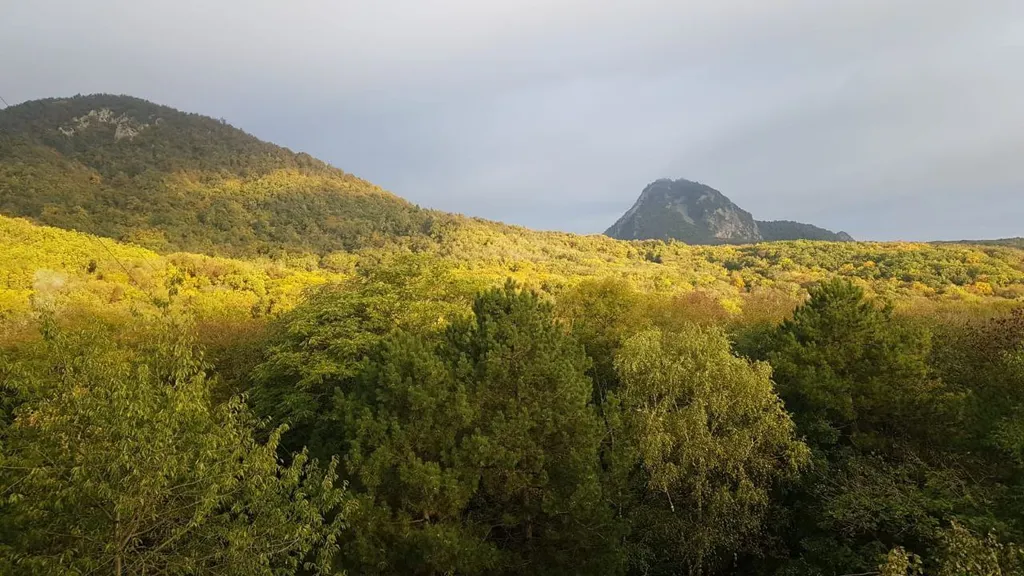 Уютная квартира в центре курортной зоны