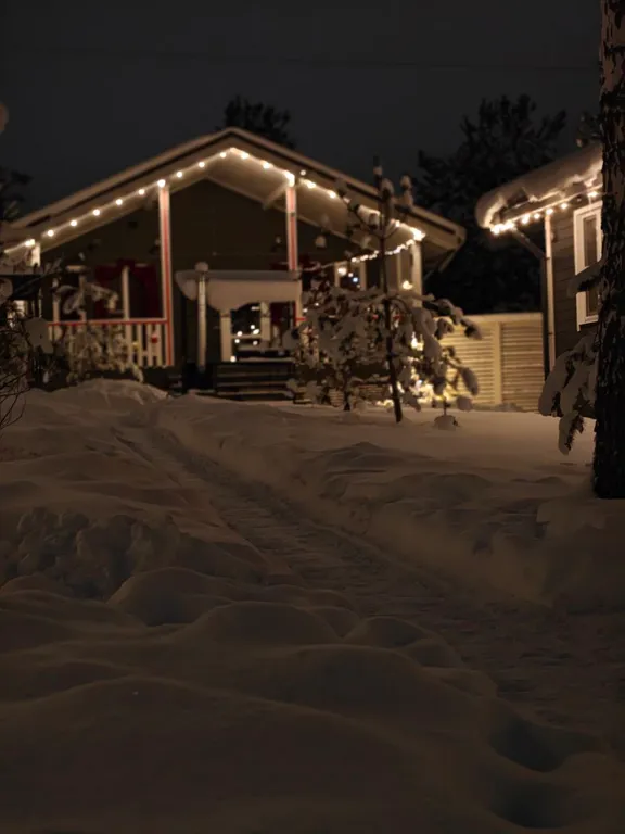 Дом с сауной