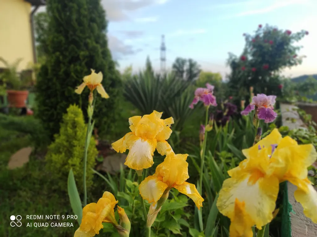 Просторный дом с райским садом на вершине холма с супер видами