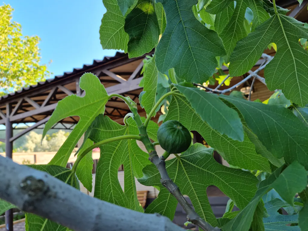 Уютный дом у моря