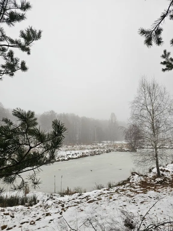 Уединенный дом в лесу