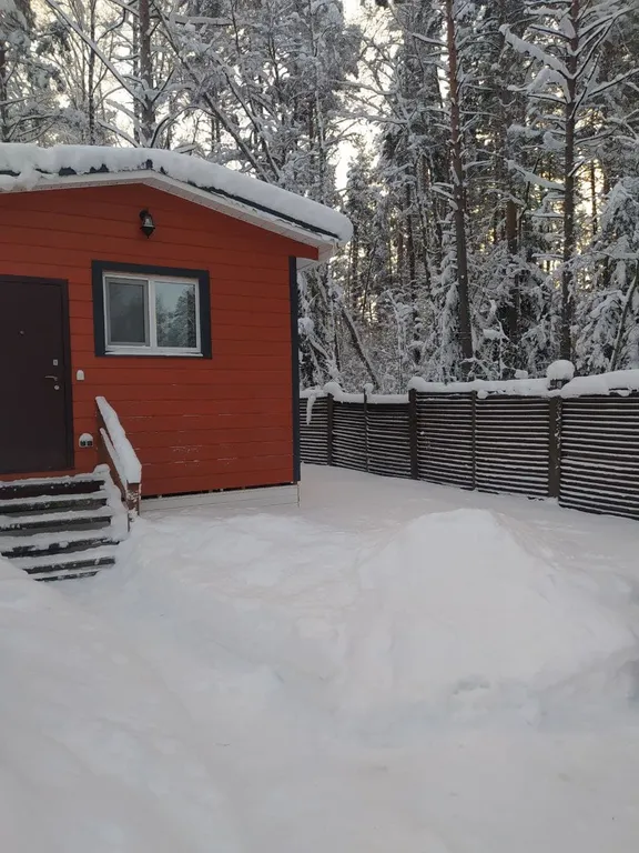 Коттедж Коттедж у леса — Снегиревка