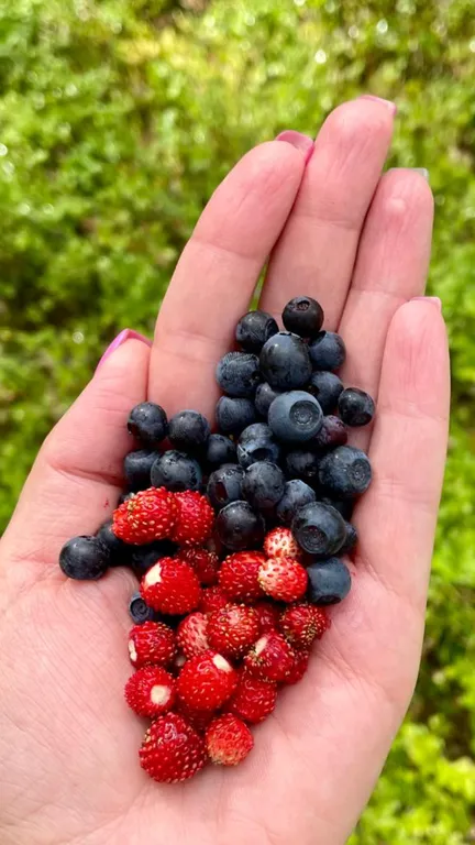 Коттедж Уютный дом для комфортного отдыха — Четверяково