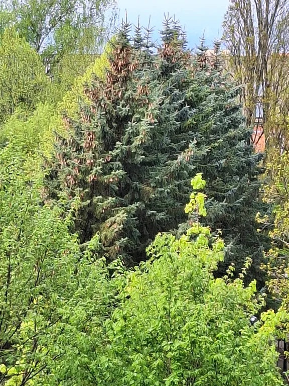 Квартира Новые апартаменты в сердце города — Калининград
