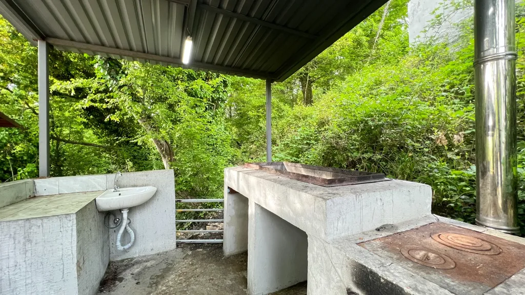 Зеленая студия на море