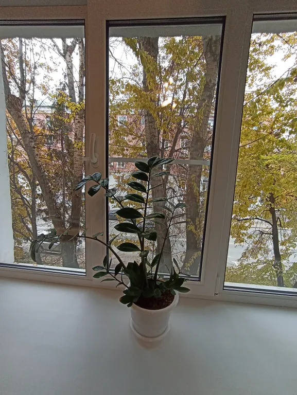 Уютная студия по выгодной цене в Центре города, рядом с метро