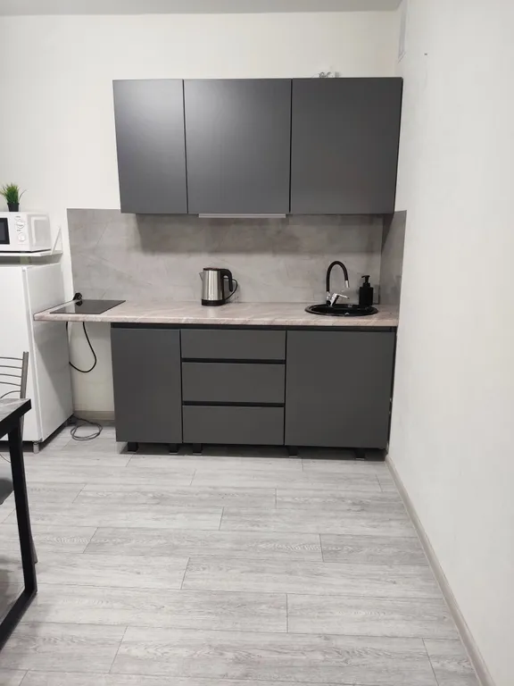 Студия в Вишневой горке