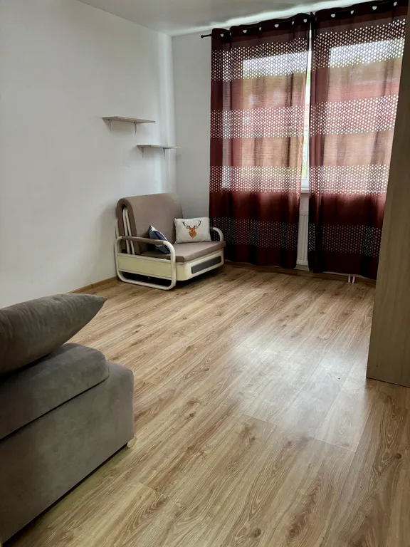 Уютная квартира с 2 диванами