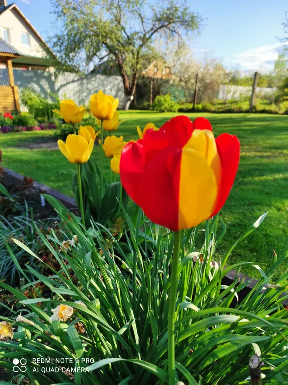 Частный дом Валентина