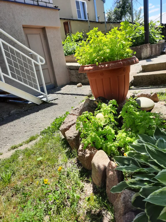 2х этажная часть дома с садом