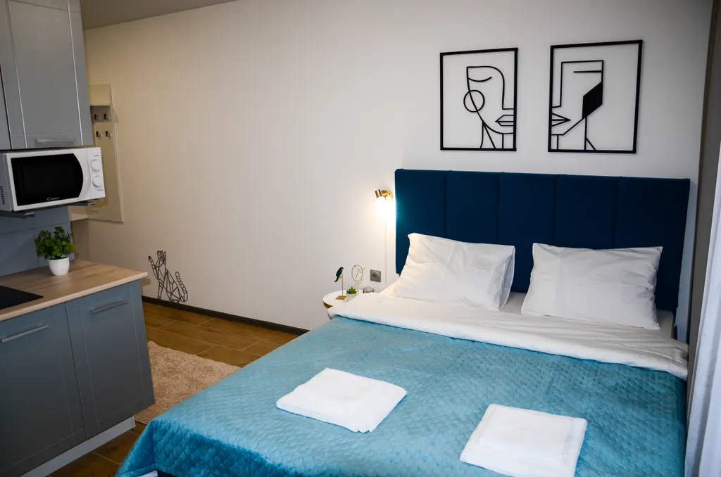 Квартира Студия класса люкс — аренда посуточно в Новоалтайск