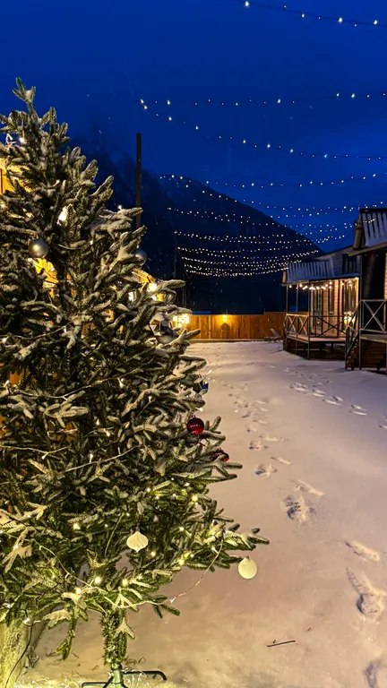 Коттедж 3-комнатный Дом — Архыз