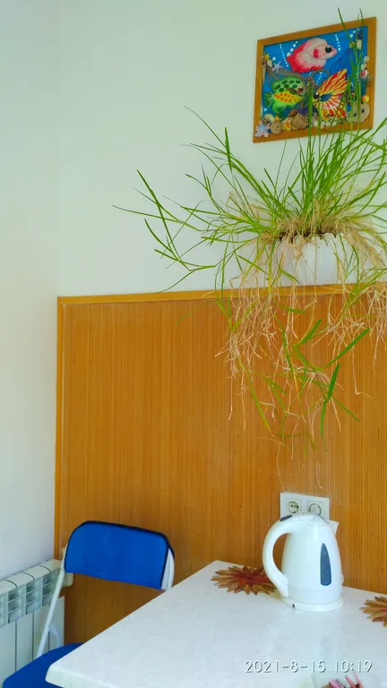 Светлая однокомнатная квартира для семьи до 3 человек